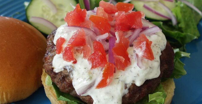 Gyro Burger